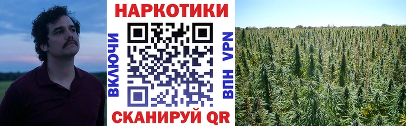 Хочу наркоту Армавир Бошки Шишки  АМФЕТАМИН  A PVP  Меф  Гашиш  Кокаин 