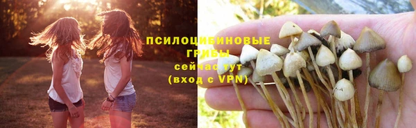 твердый Балабаново