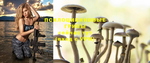 твердый Балабаново