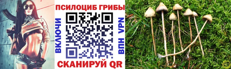 ОМГ ОМГ рабочий сайт  Армавир  Галлюциногенные грибы Psilocybe  закладка 