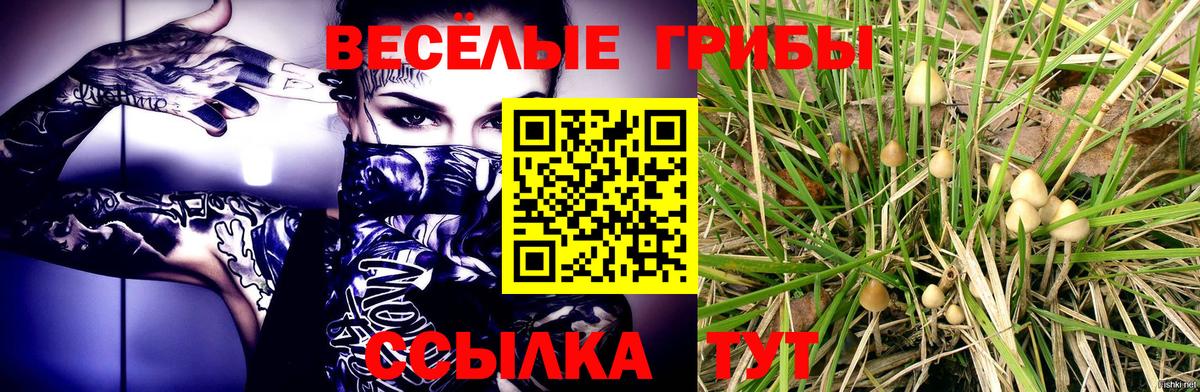 Псилоцибиновые грибы ЛСД  даркнет сайт  Армавир  Вход с VPN 